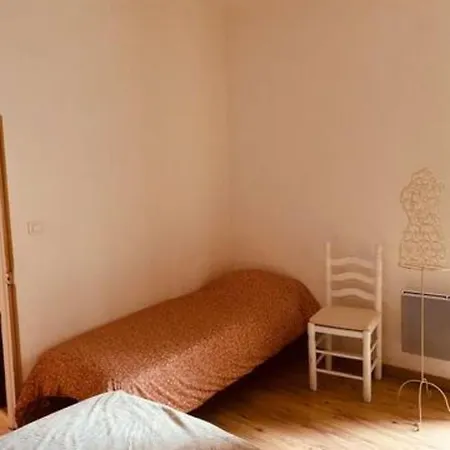 Coquet Coeur De Au Calme Apartment Millau